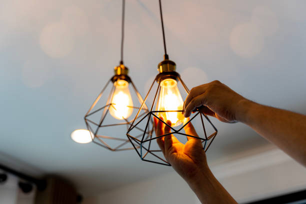 Best Affordable Electrician  in Tower Lakes, IL