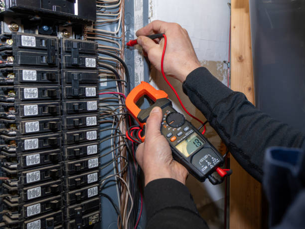 Best Electrical Troubleshooting Services  in Tower Lakes, IL